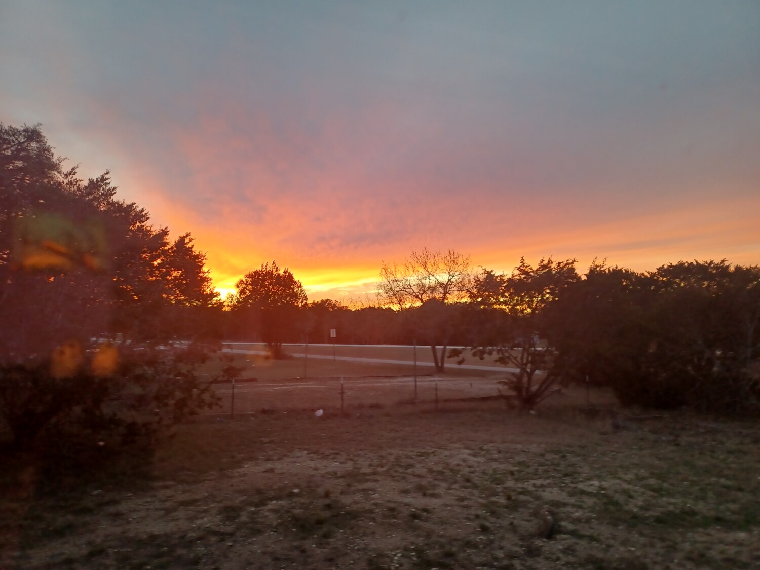 Peaceful Valley @ my Madrona