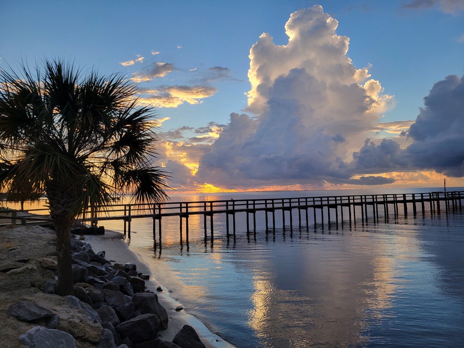 Florida morning sunshine