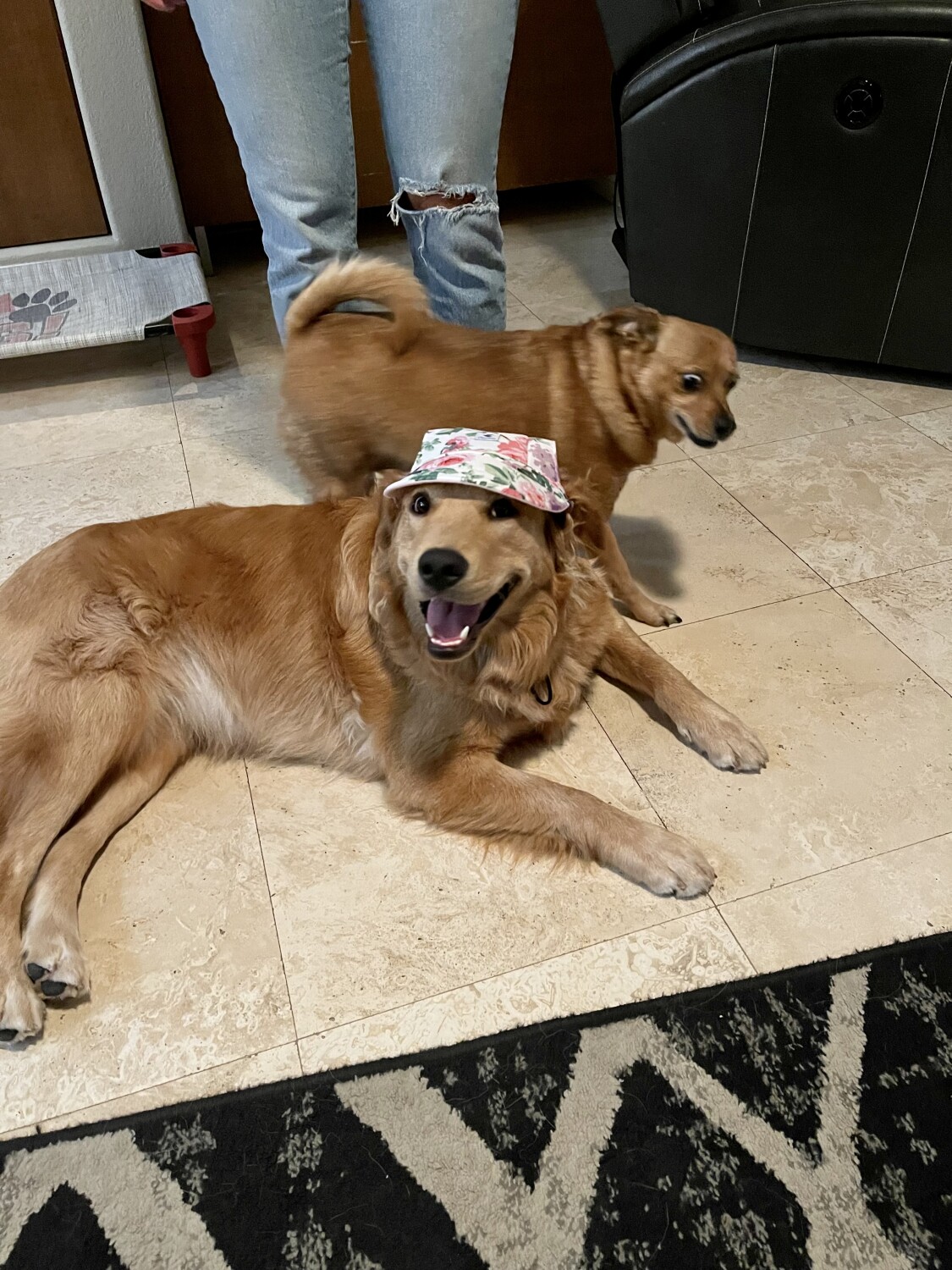 Happiest Birthday Sprinkles !!!