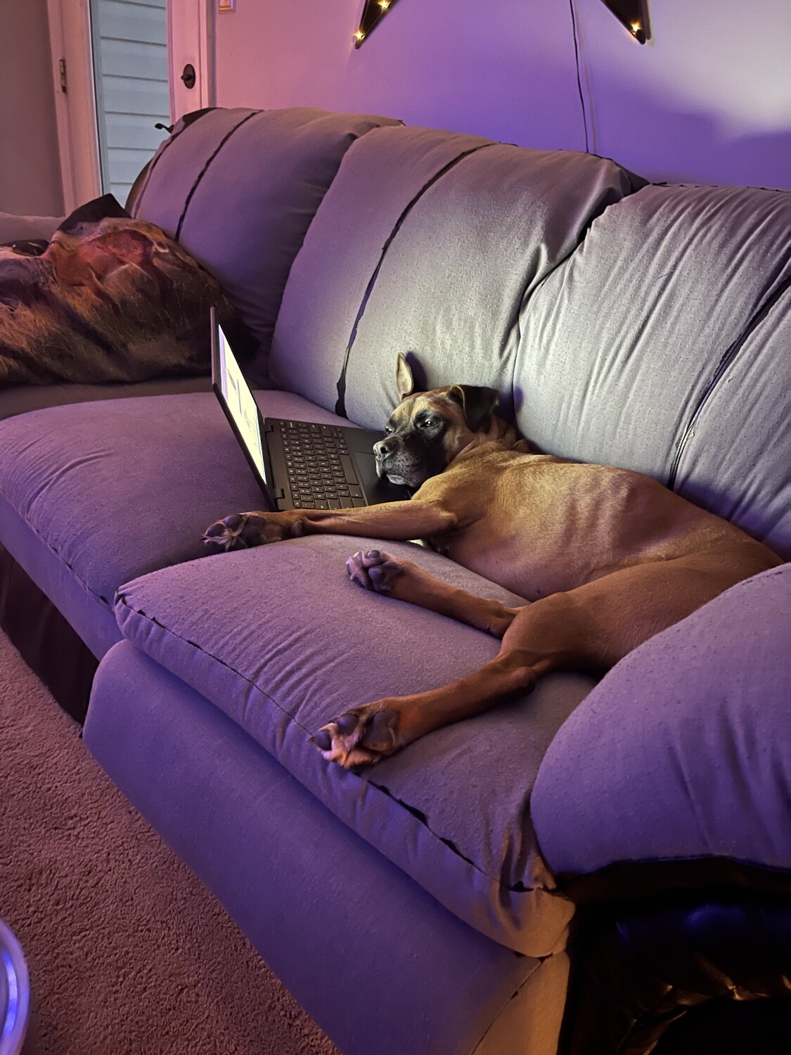 Dallas doing homework