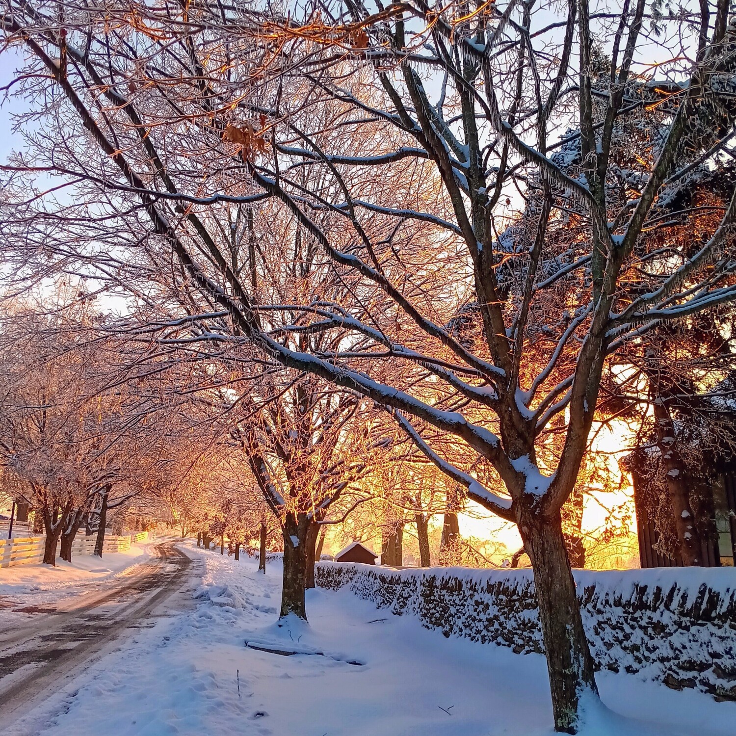 When the Sun Ignites The Flaming Snow