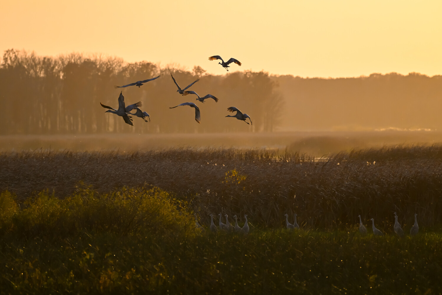 Sandhills Landing