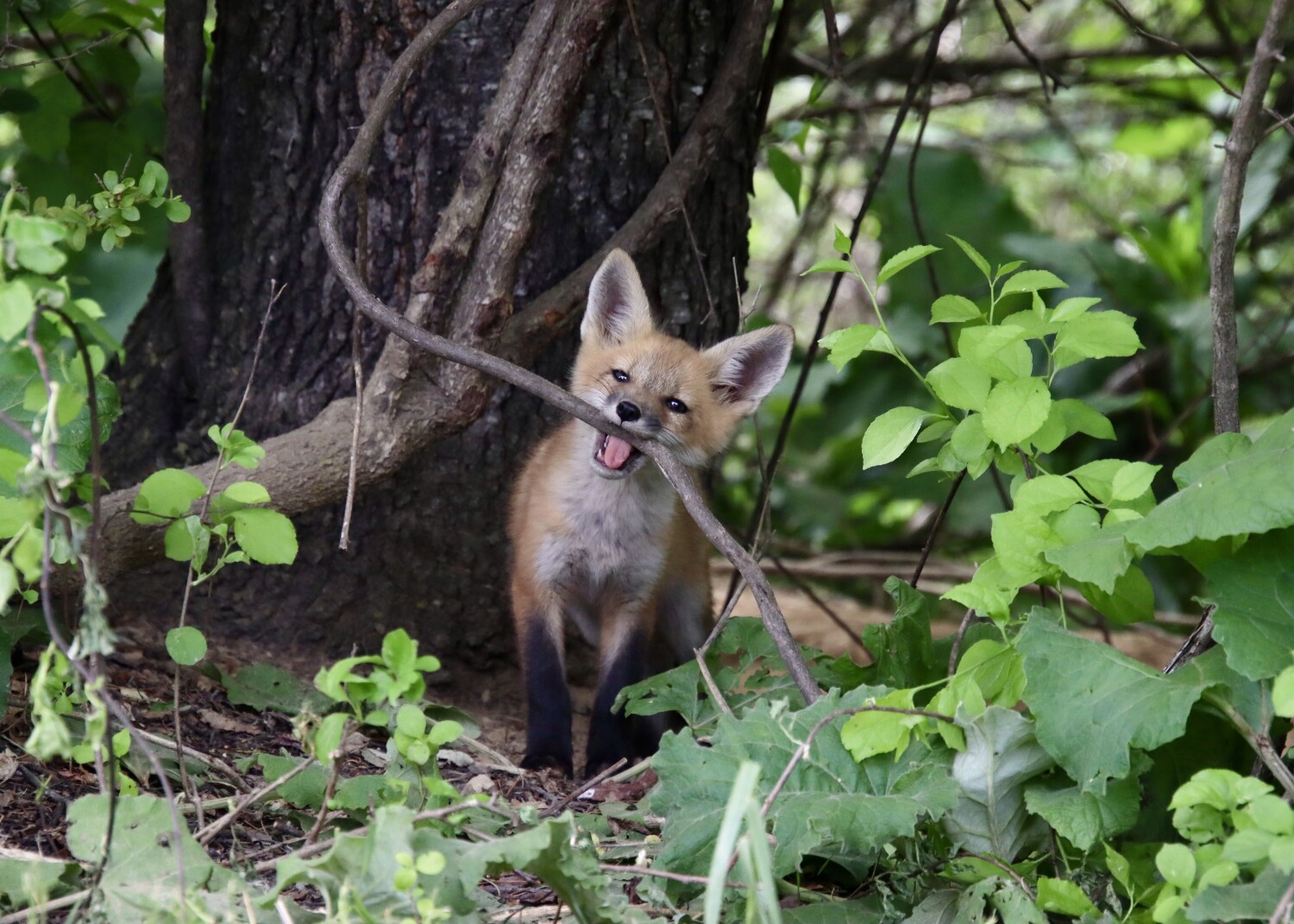 Snack Time!