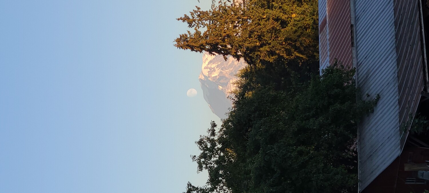 Purple mountain magesty