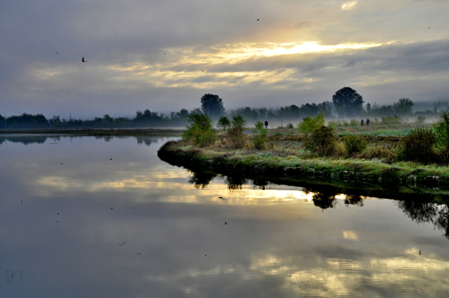 Reflections of a Sunrise