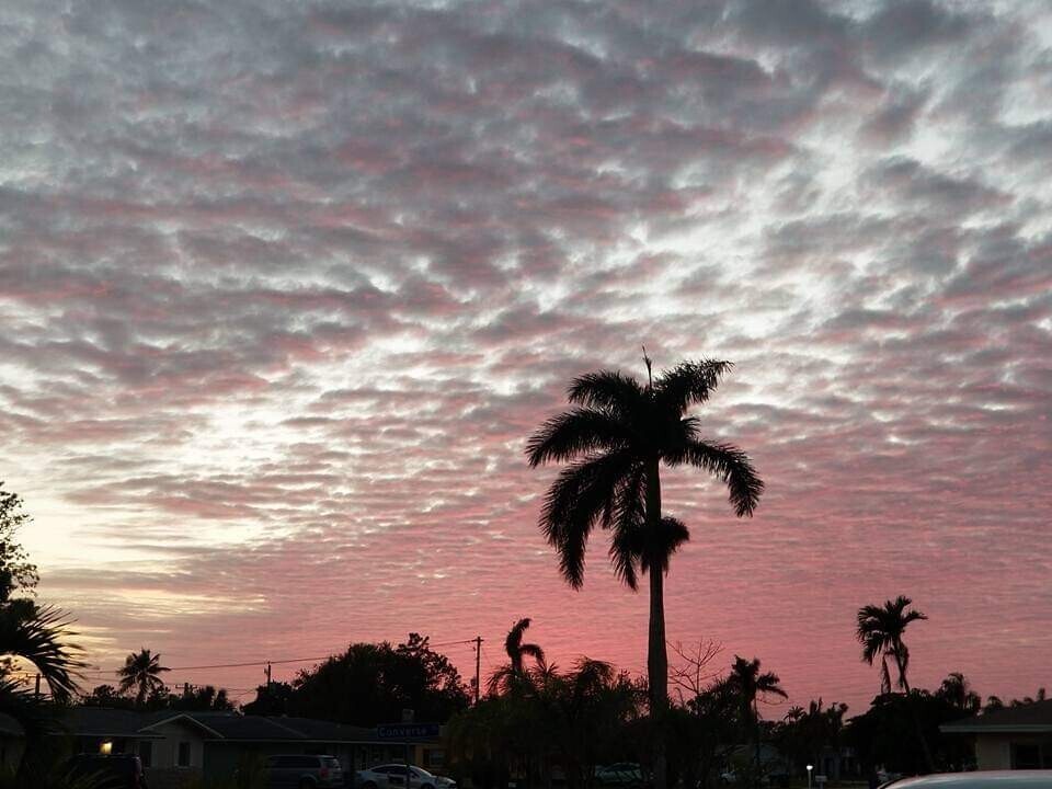 Peace and Beauty