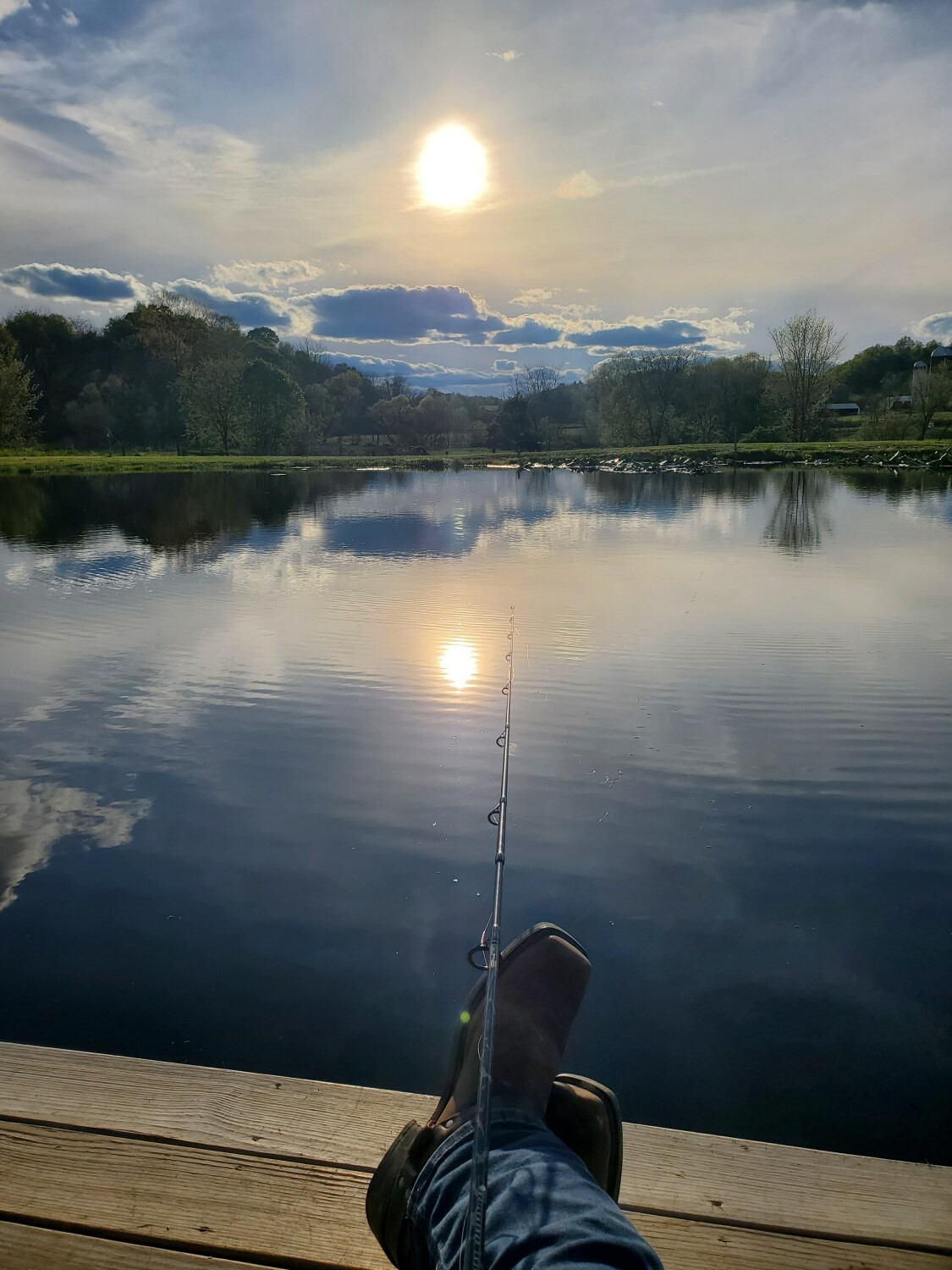Solitude