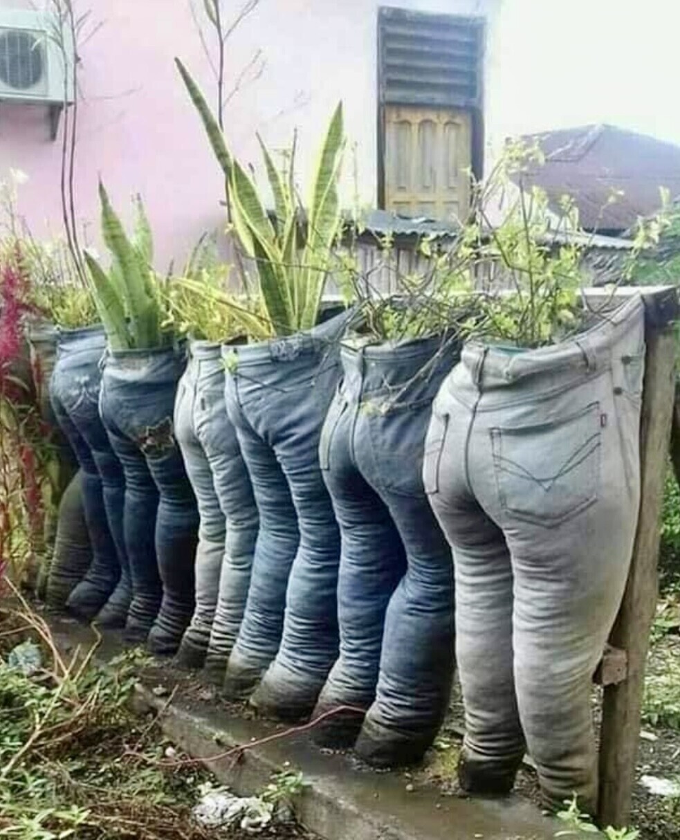 “Plants in the Pants”