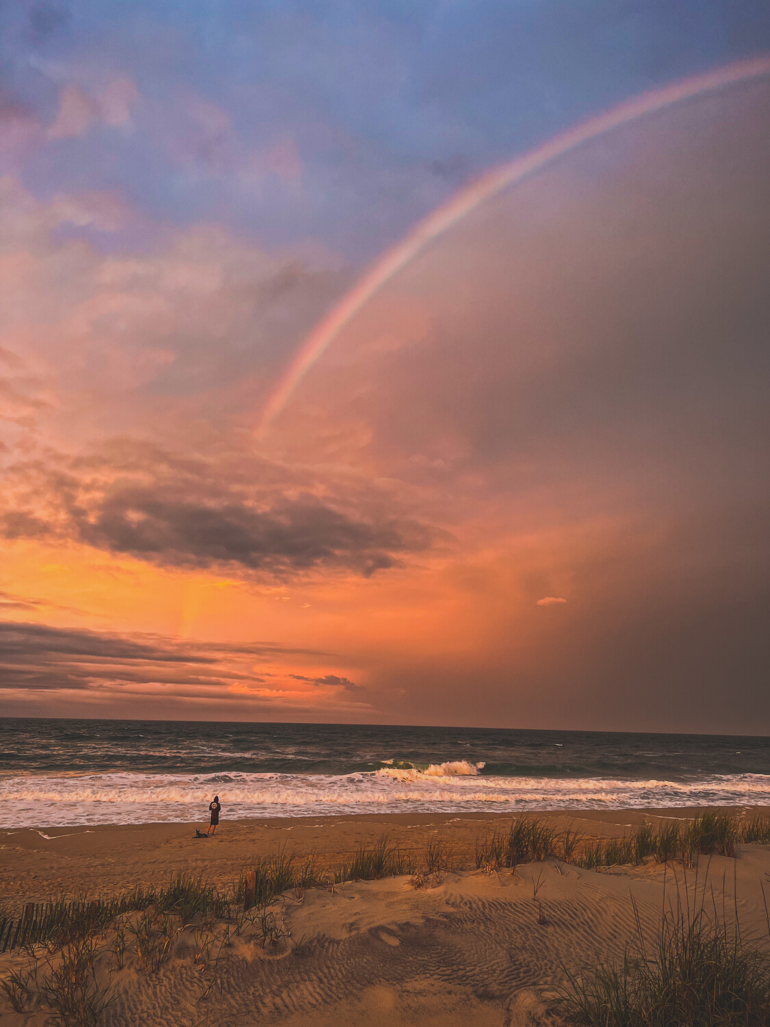 OBX Dreams