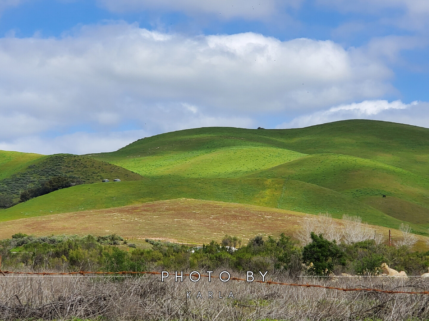 Rolling hills of Santa maria valley