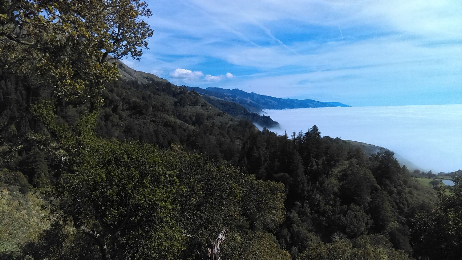 Above the Clouds