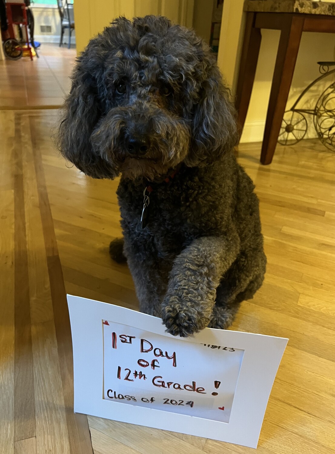 Bella, Class of 2024