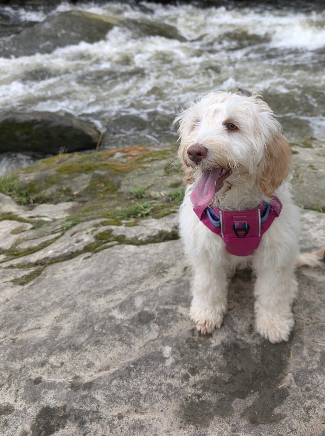 Outdoor Adventure