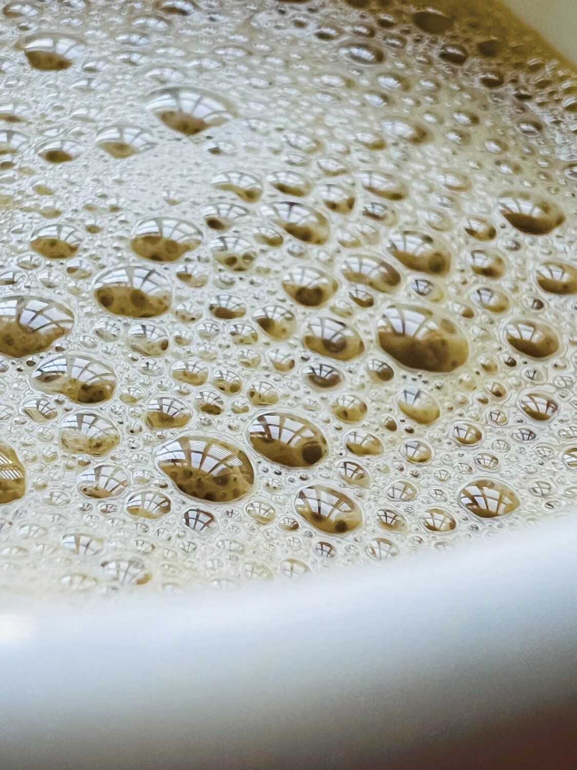 Latte into the world