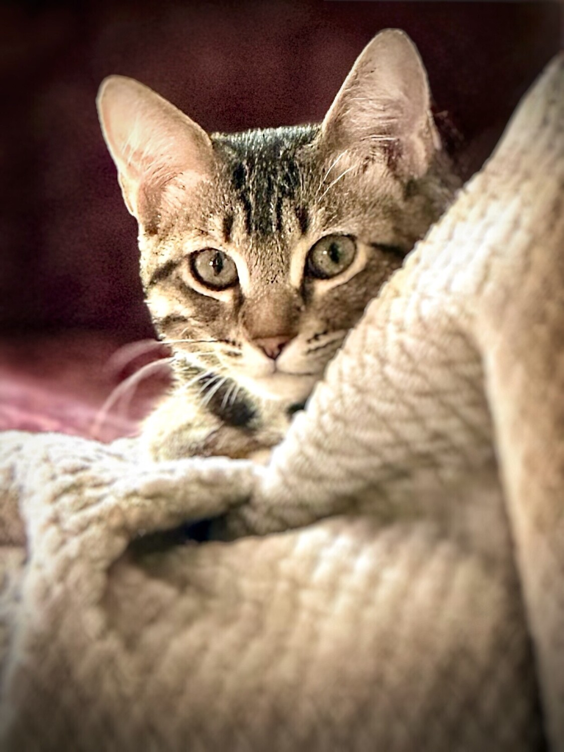 Peekaboo Mindi!