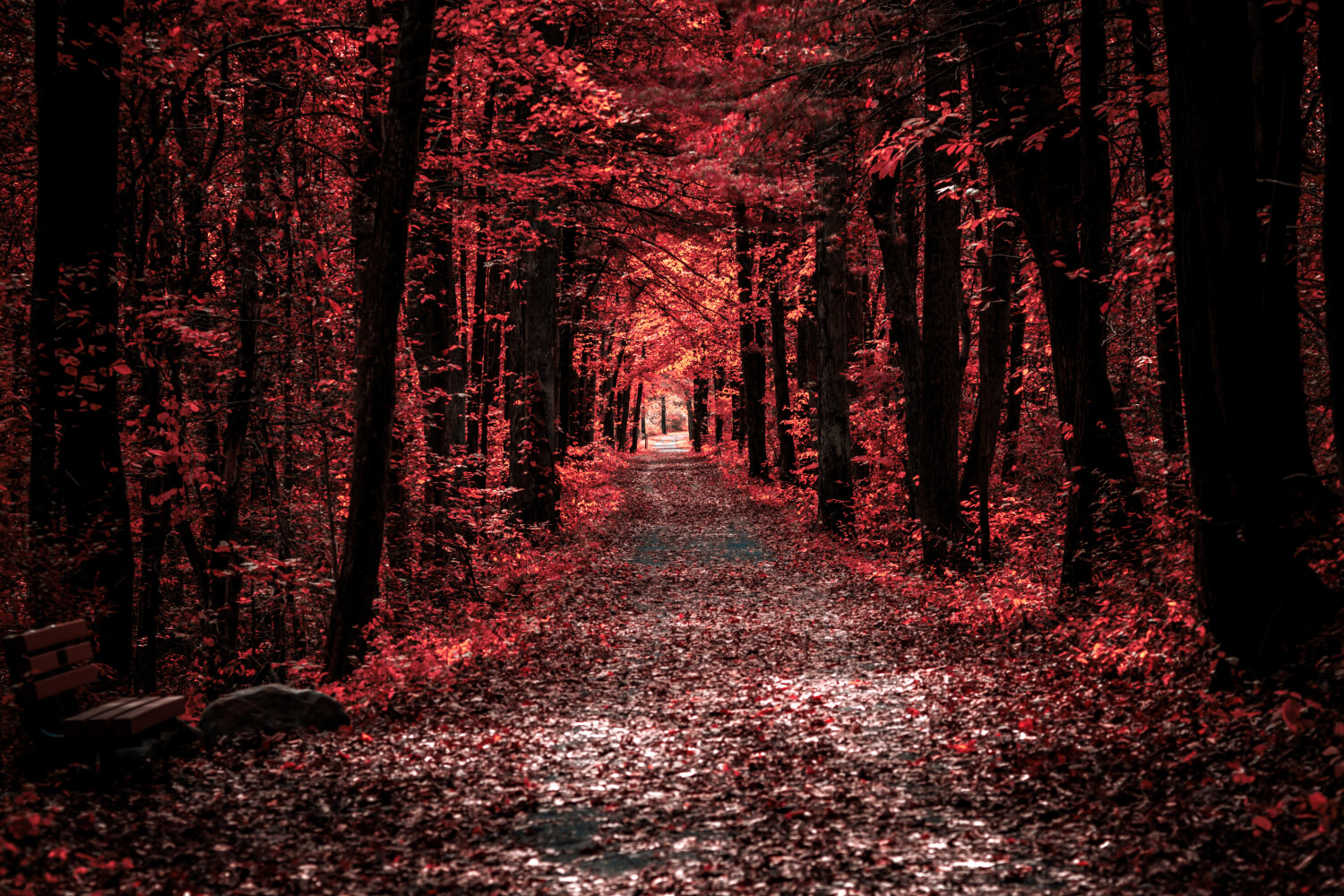 The End of the Trail