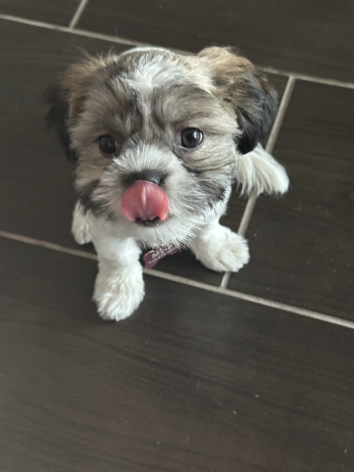 Myla
