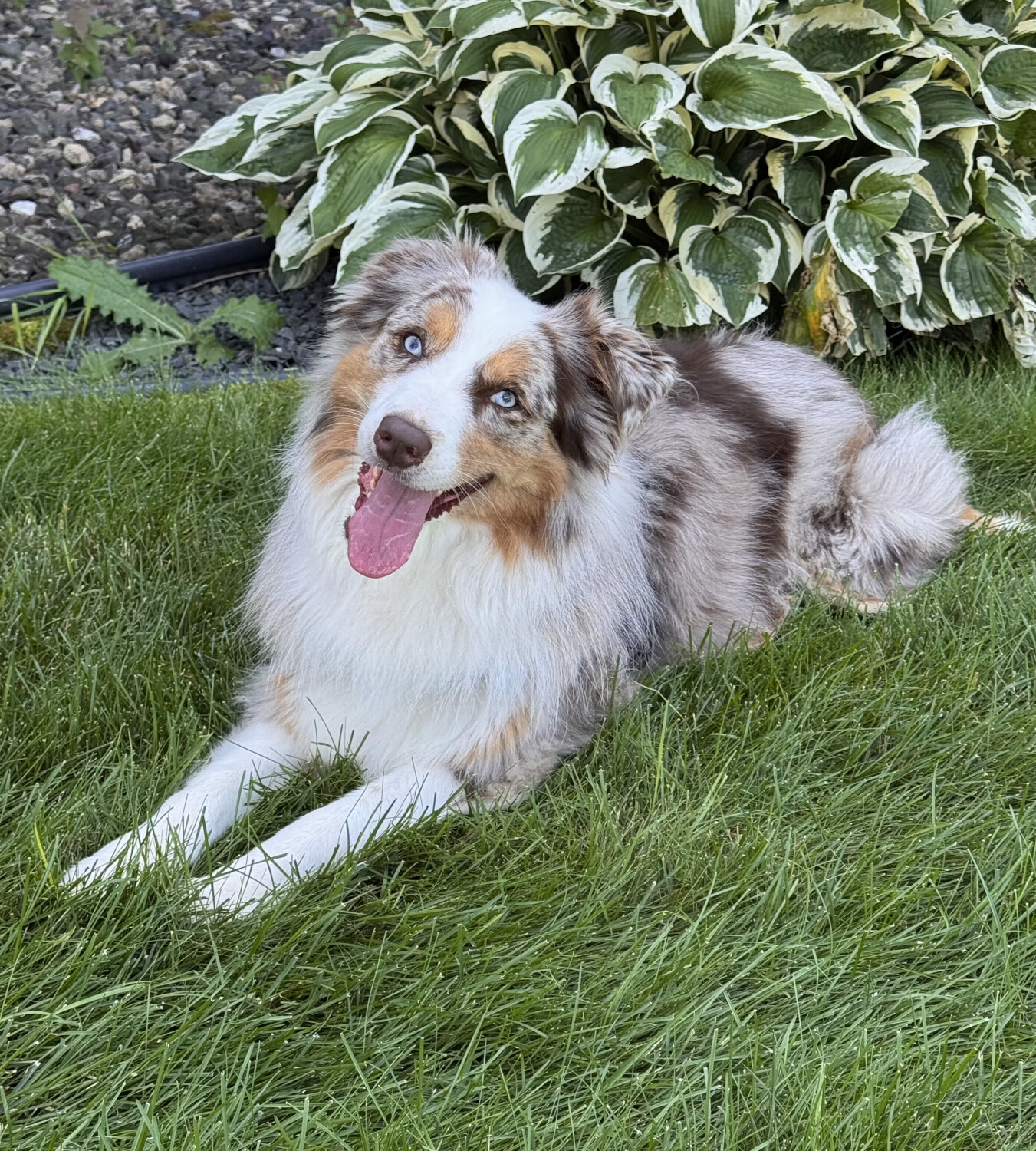 Kirsi play date
