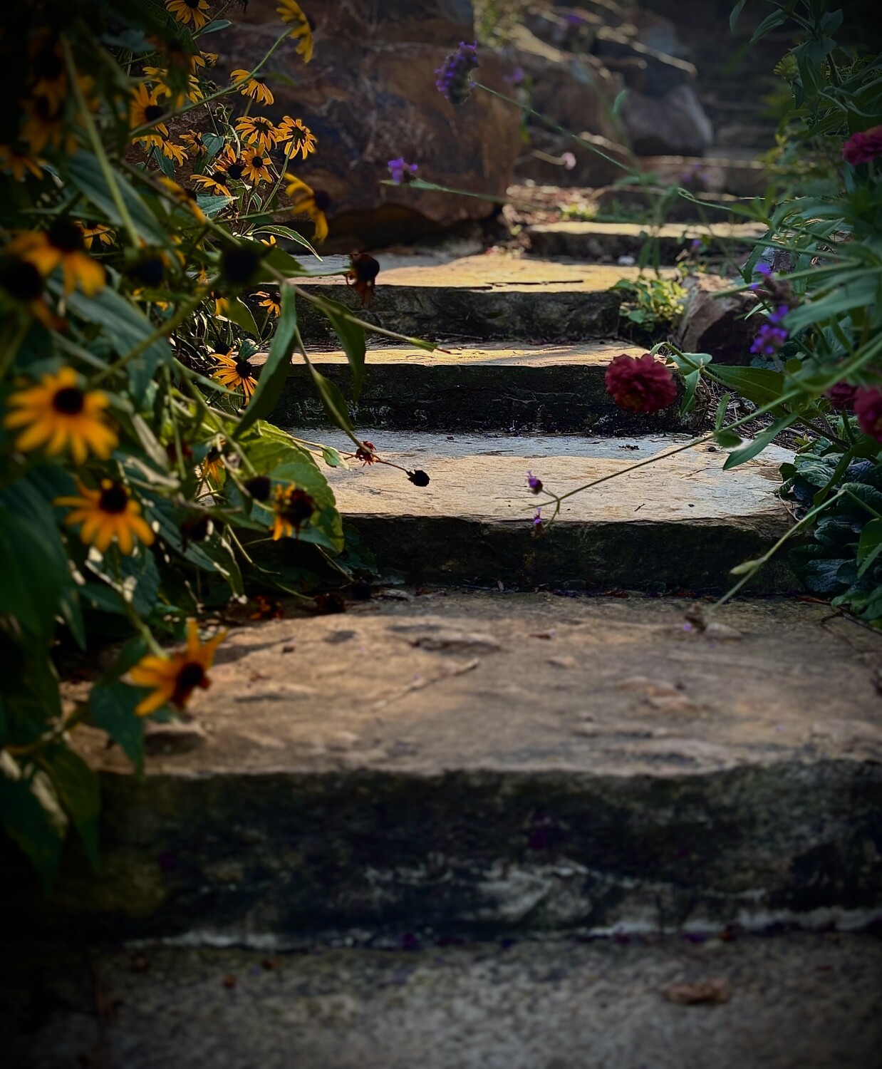 Steps that lead me to you