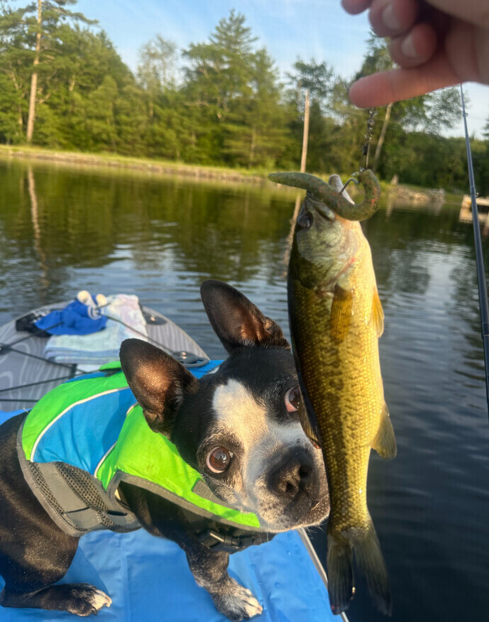 Certified fish inspector