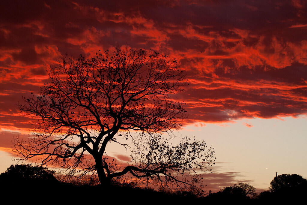 Sky Fire Dance - Everything's Bigger in Texas