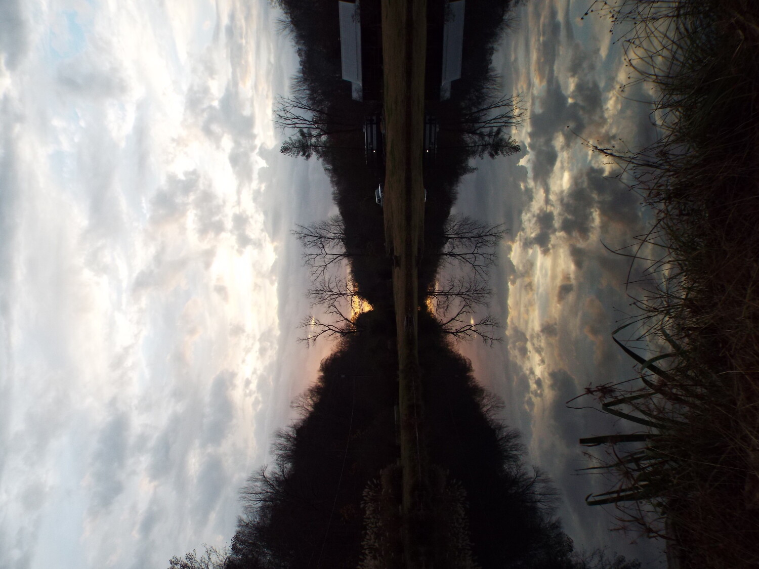 Reflective Contemplation