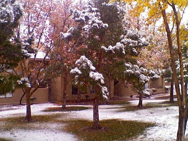 Snow In Summerlin