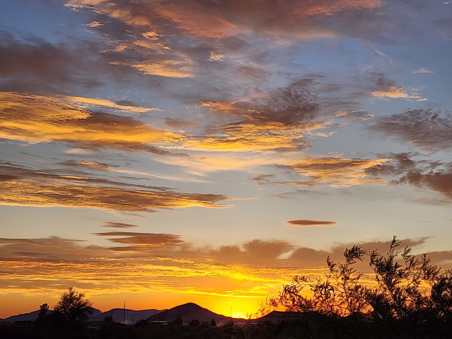 Arizona Sunset