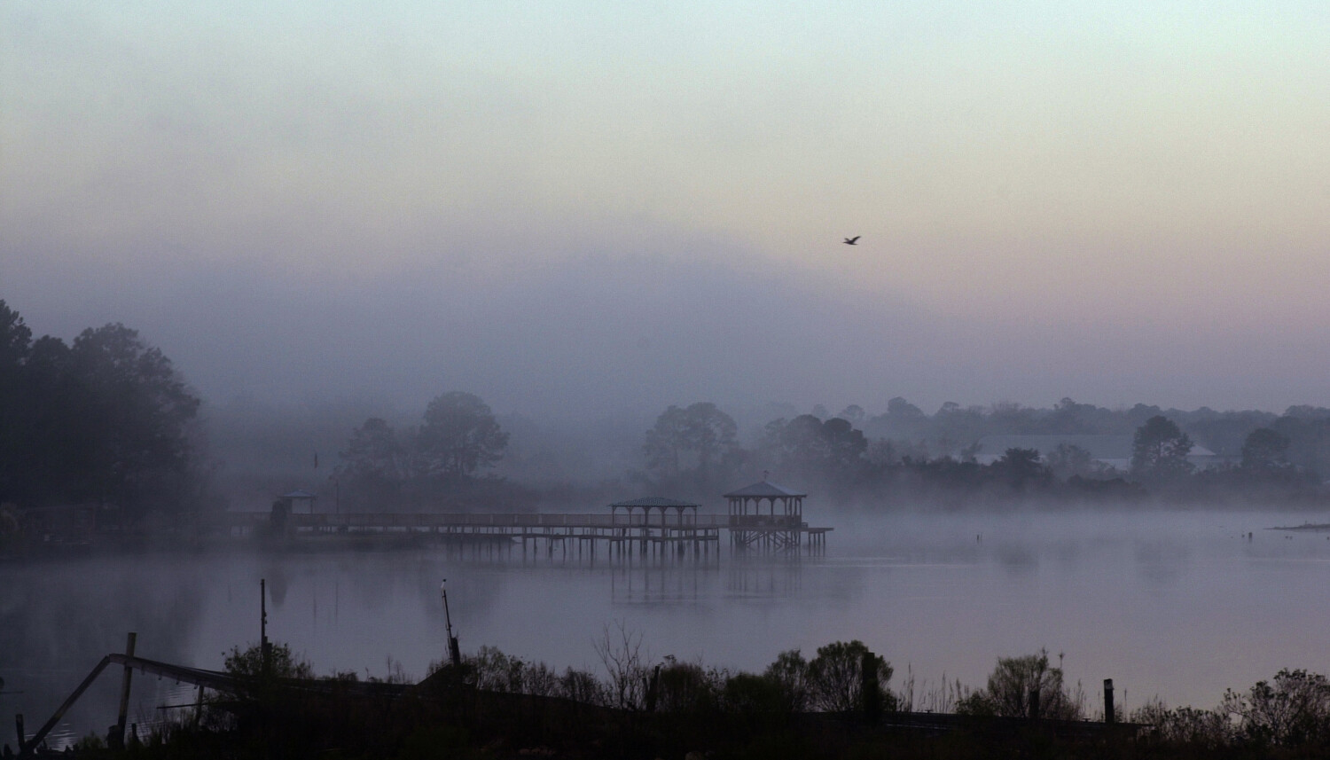 Foggy Bayou
