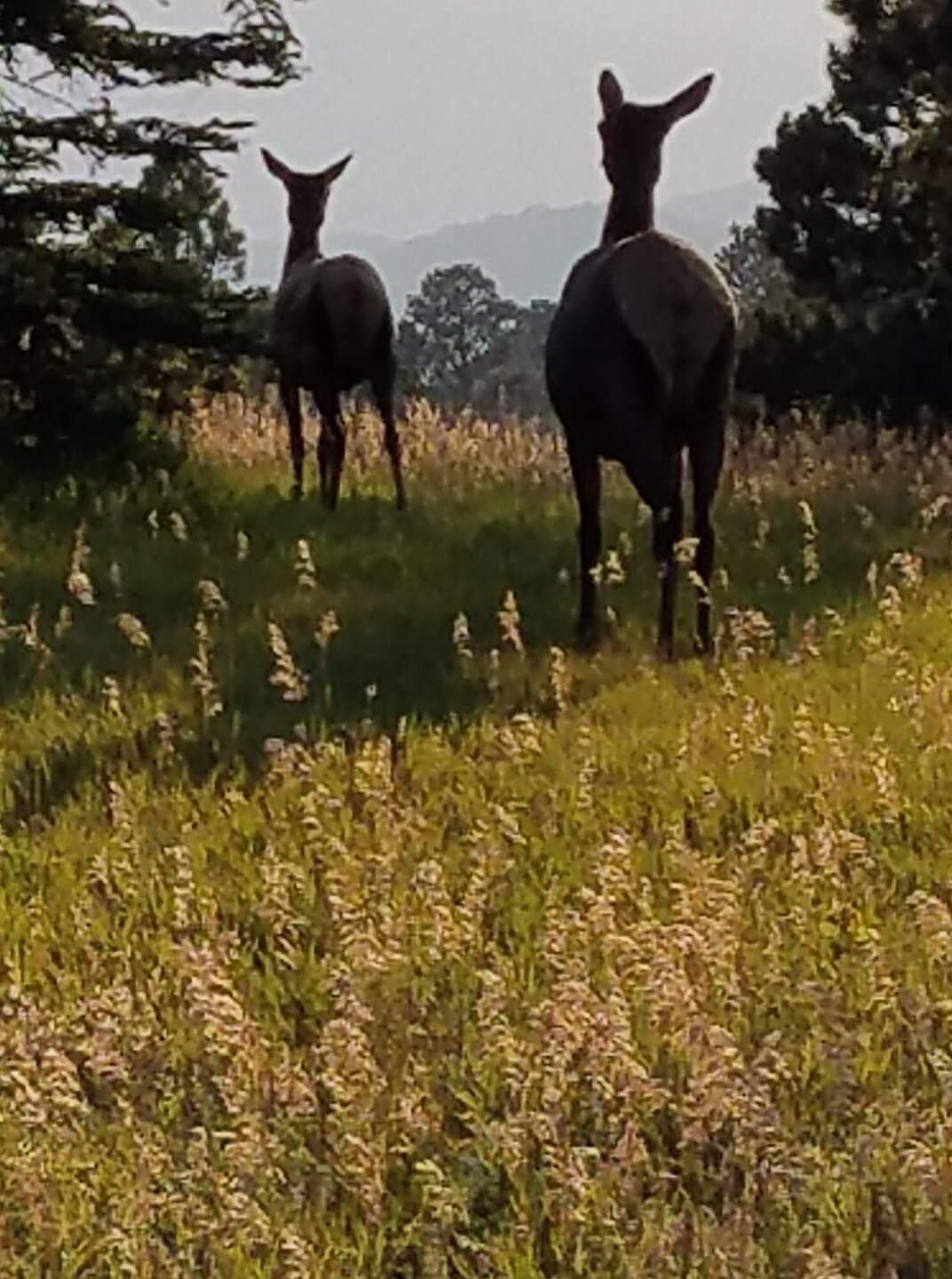 Walking into the sunset