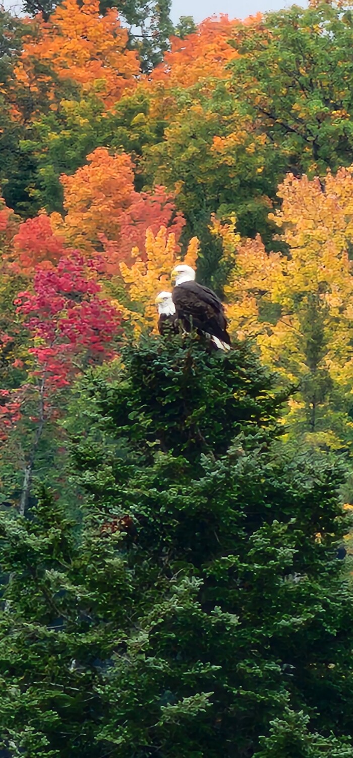 America's wonderful treasures