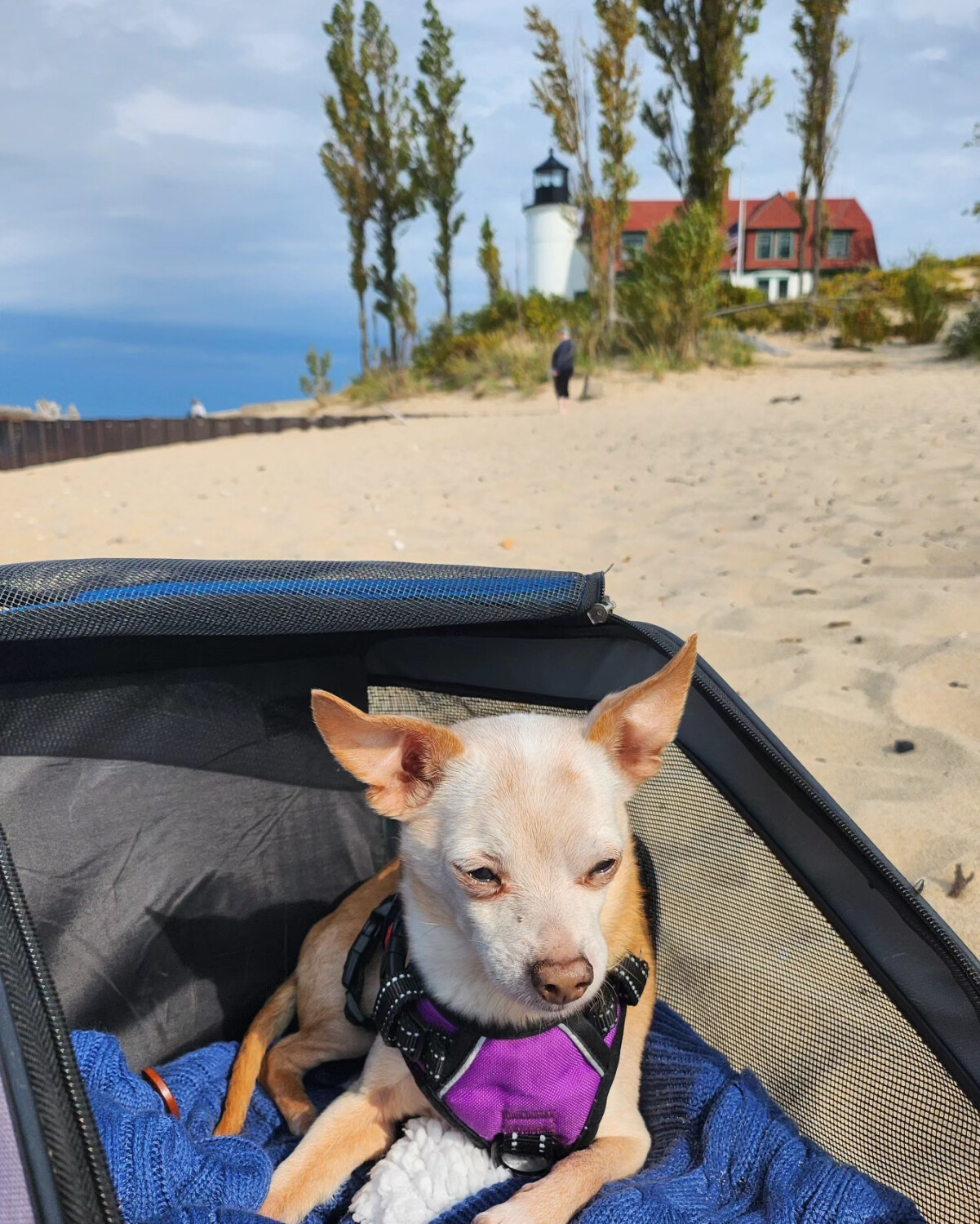 My 15 year old bestie