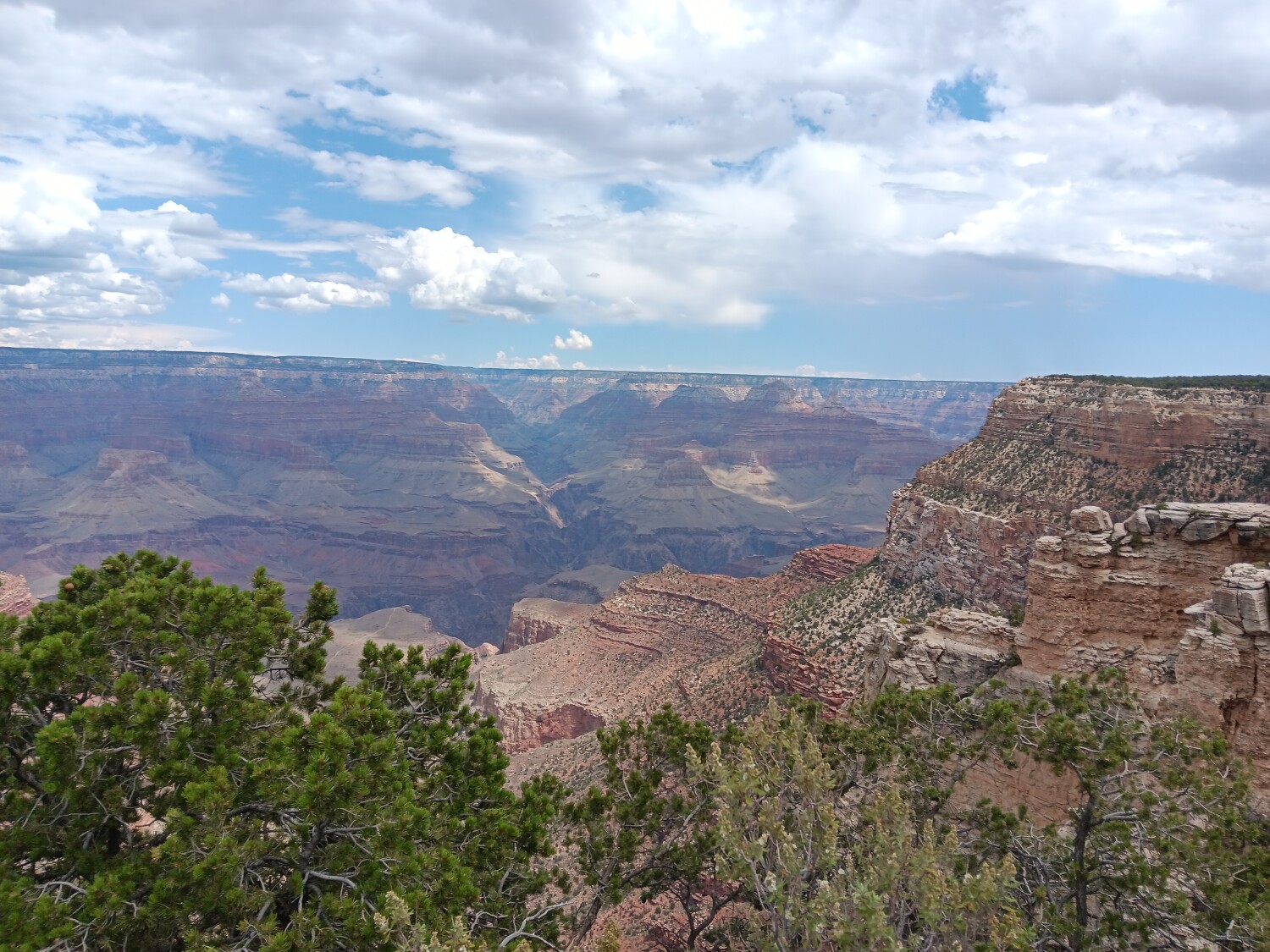 Grand canyon
