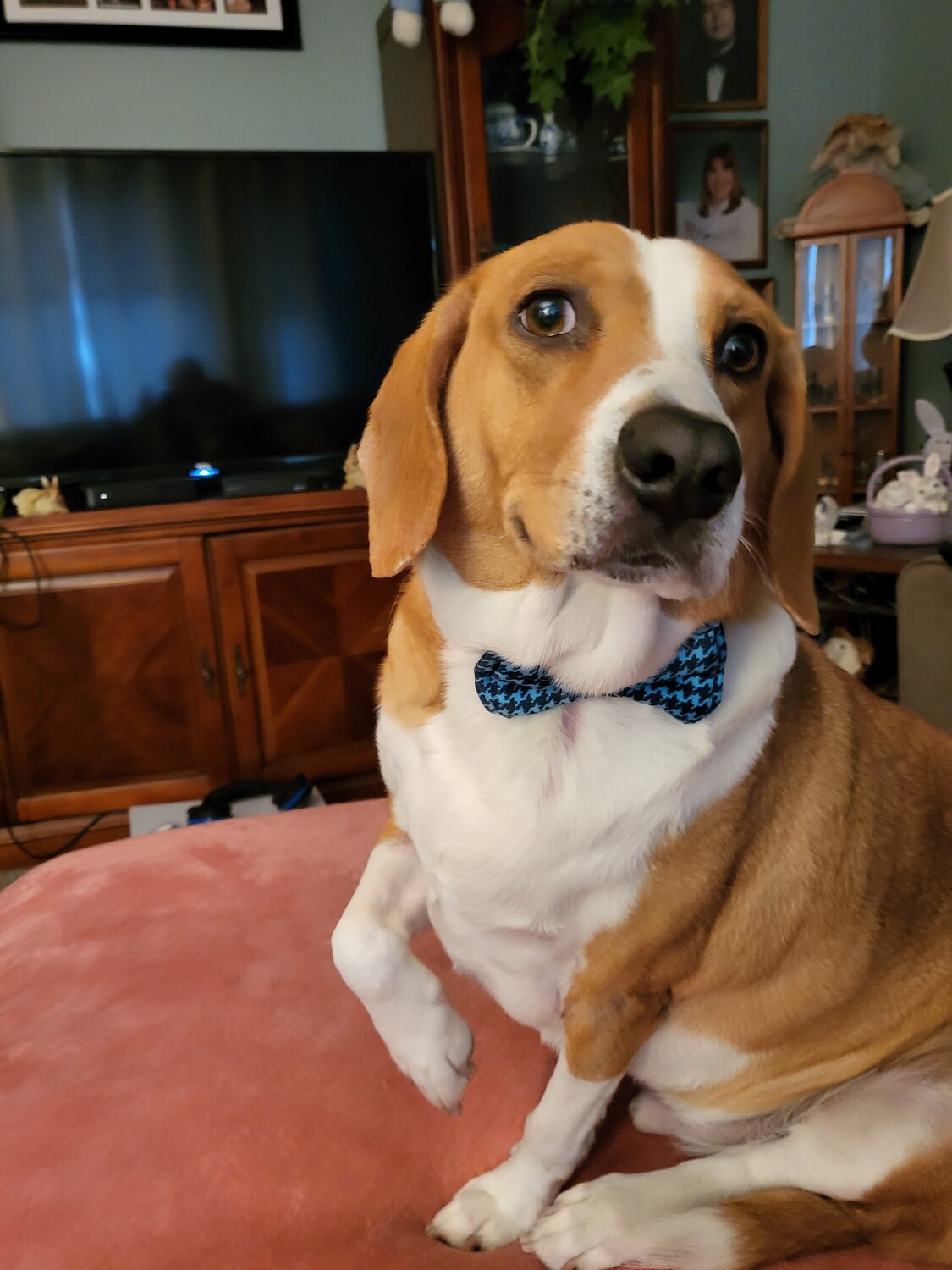 Rowdy's 4th Birthday