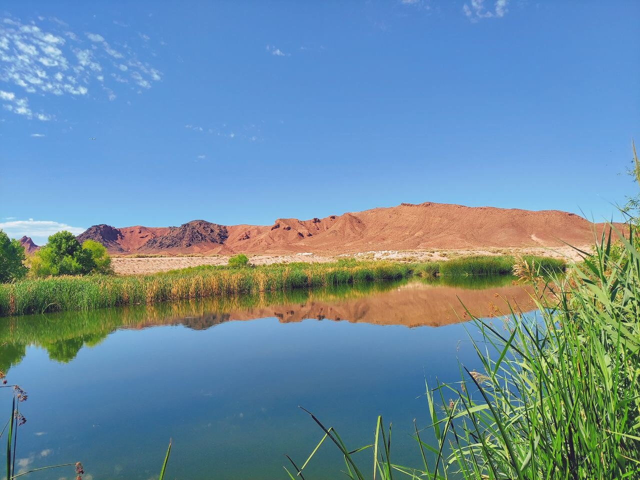 Even in the desert, we will find water.