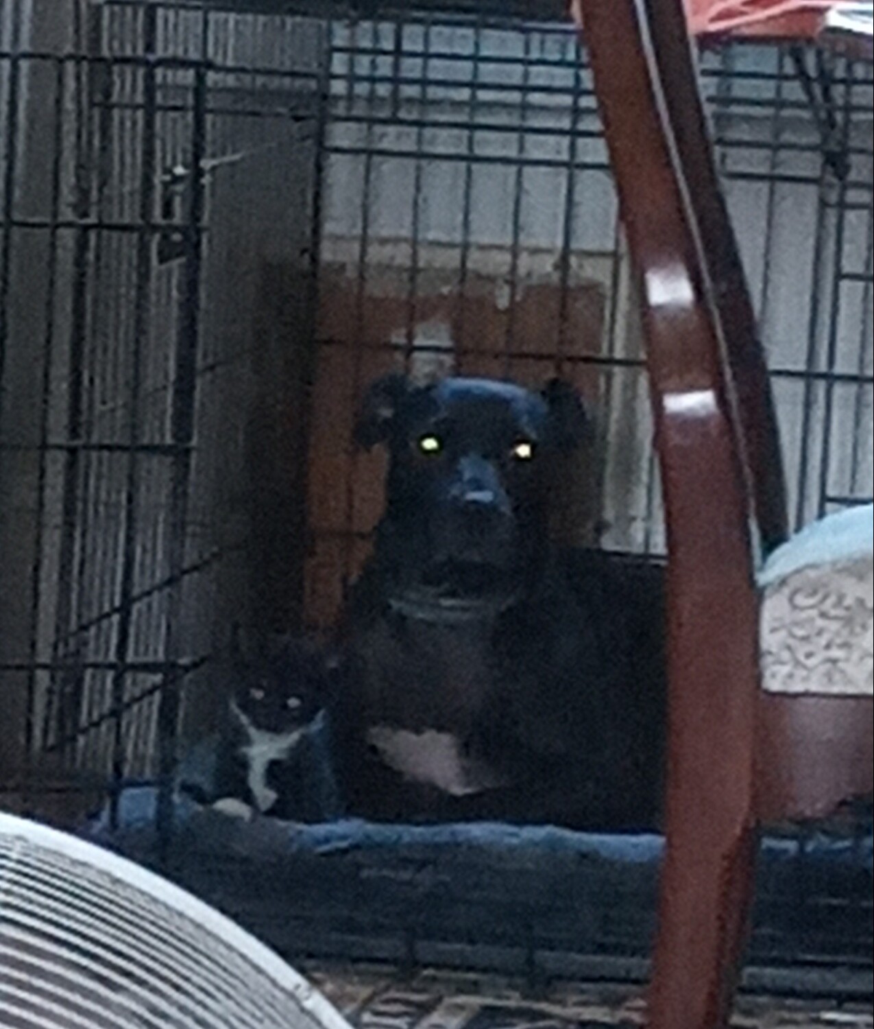 Brother from another mother.