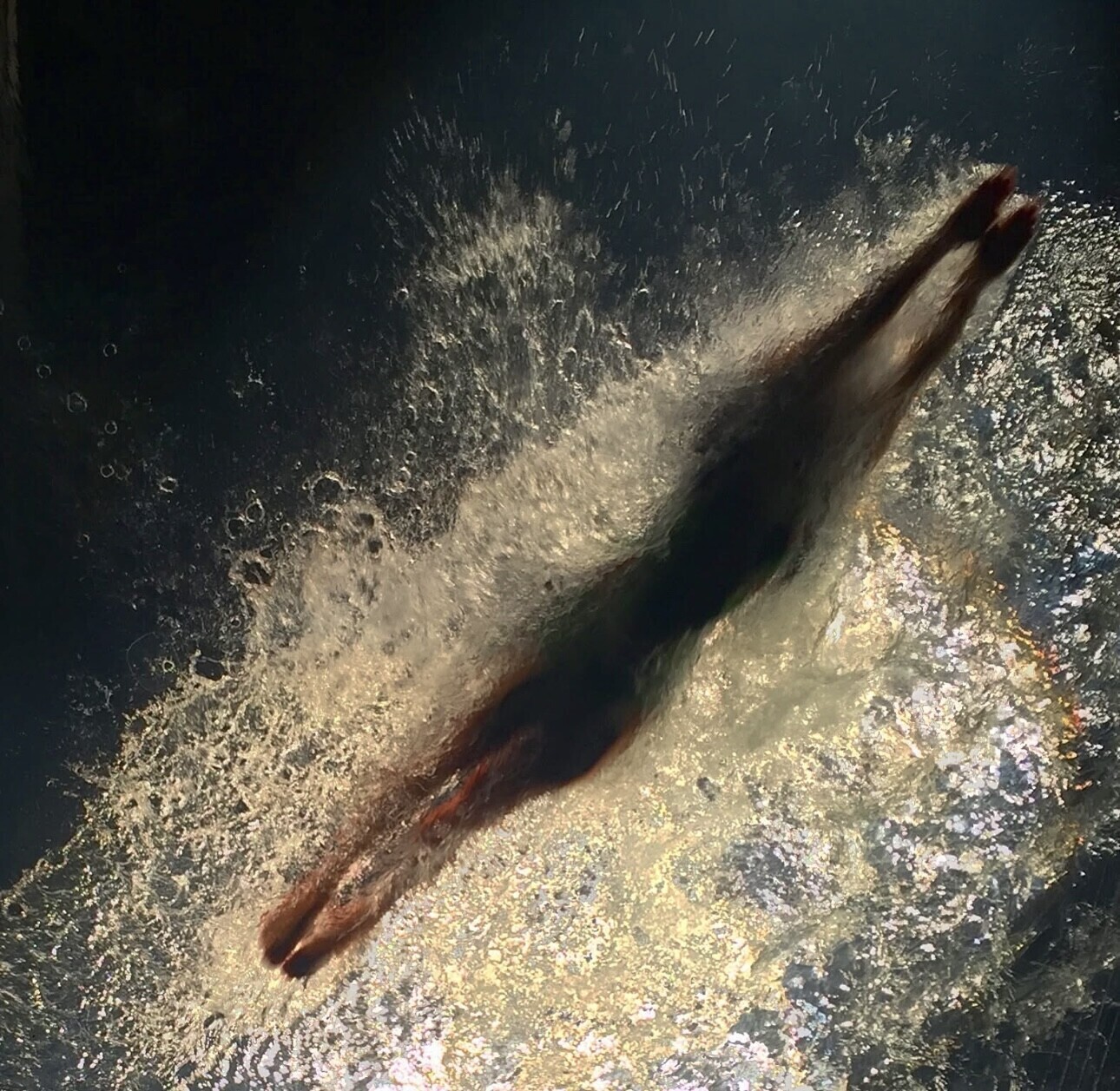 Into the Deep