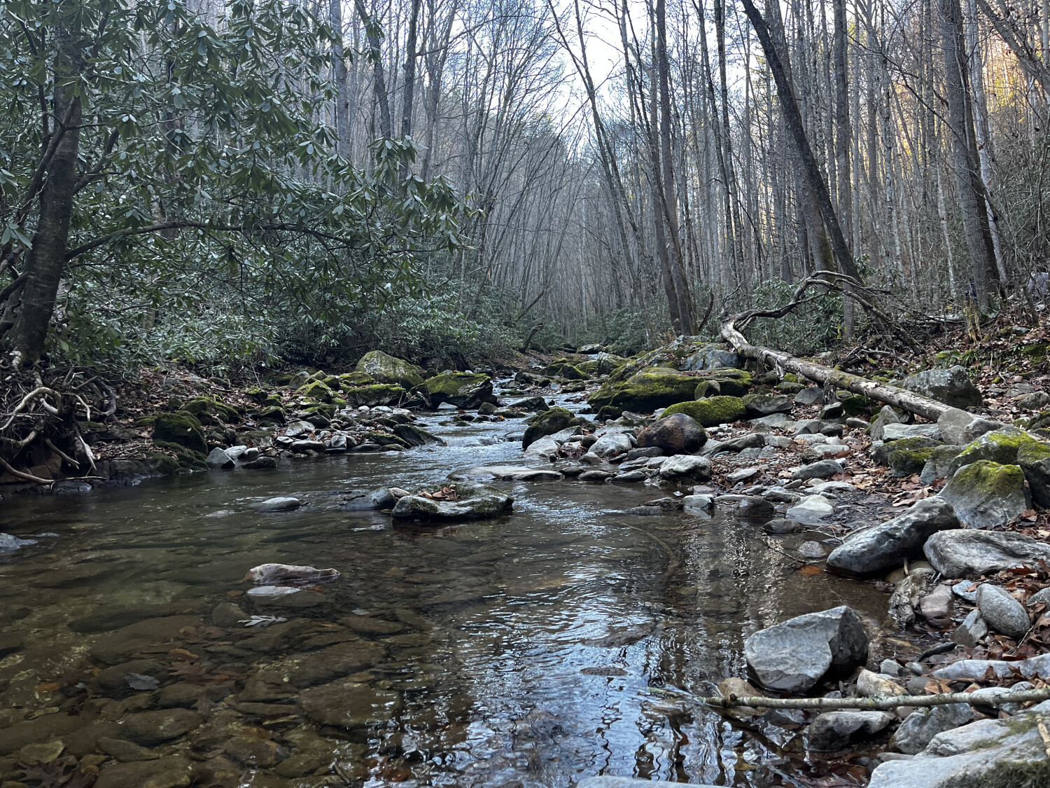 A walk through Tellico