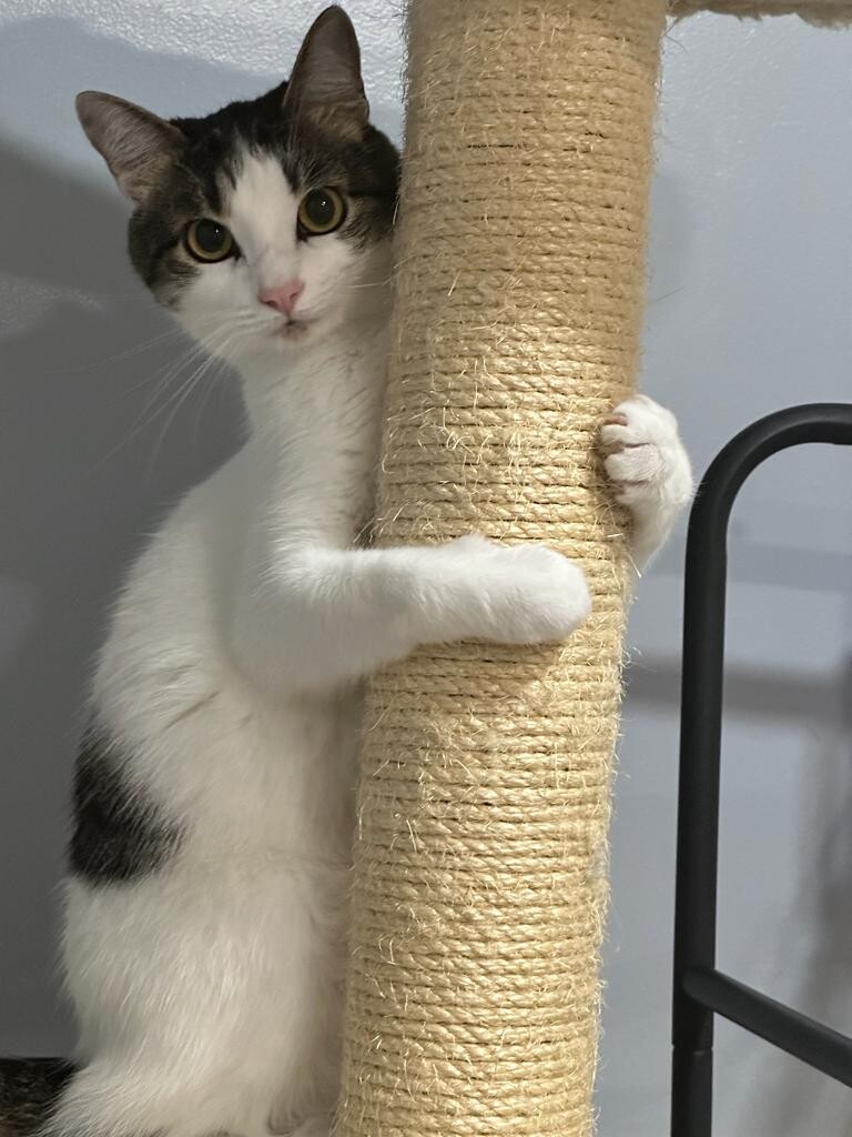 Lucy Gonzalez osorio