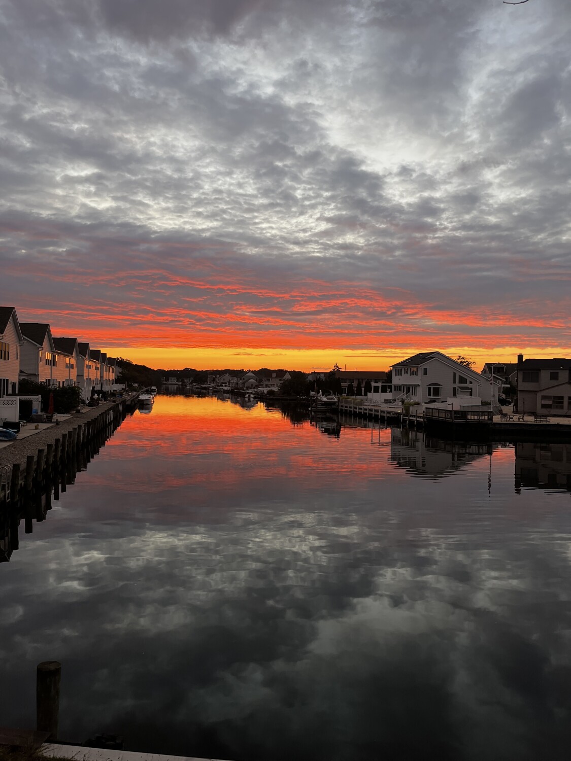 Reflections of a summer night