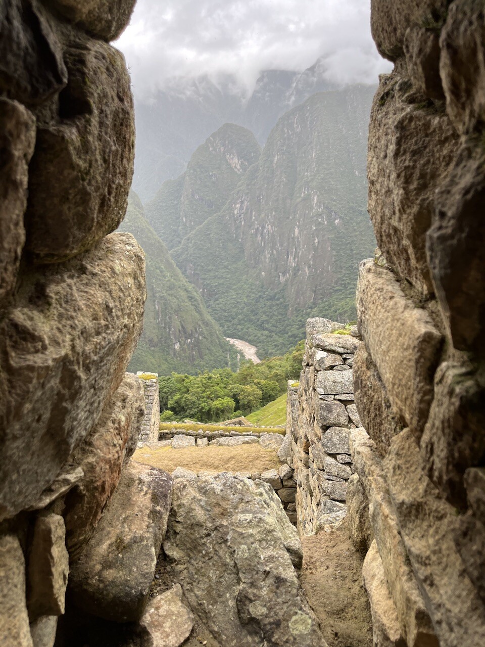 A través de la ventana