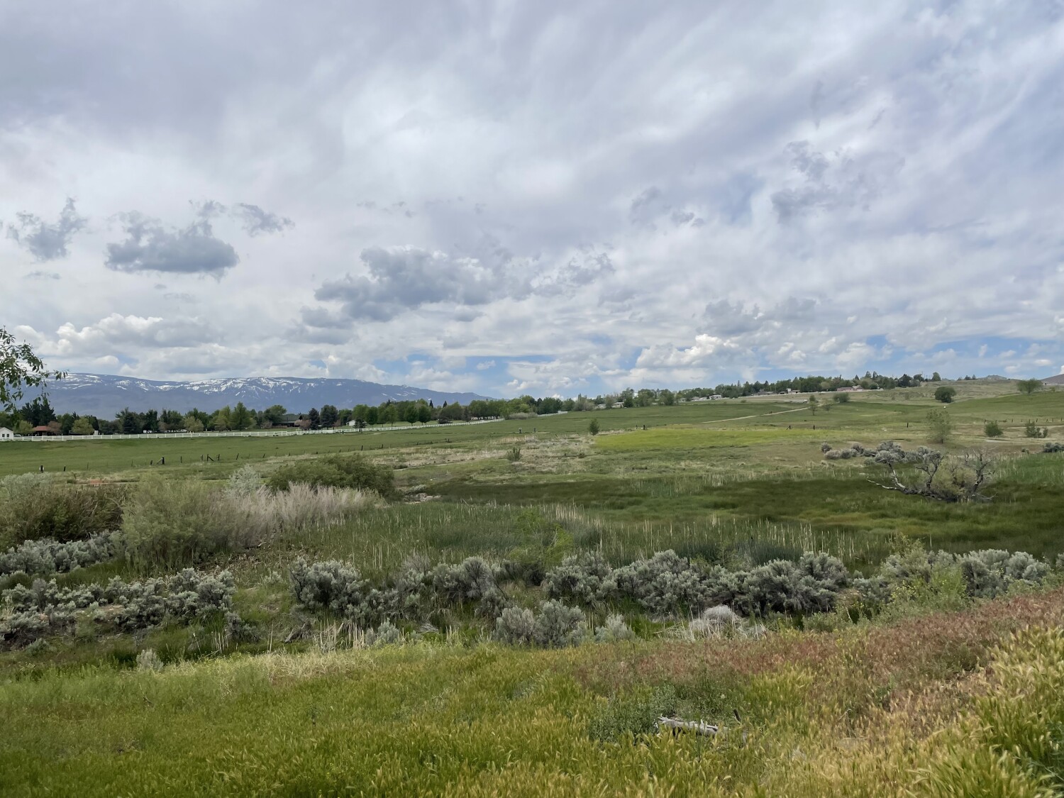 Spring at San Rafael - Reno , NV