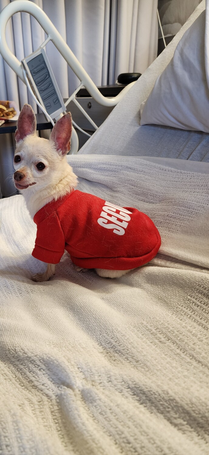 Livy visiting mommy in the hospital