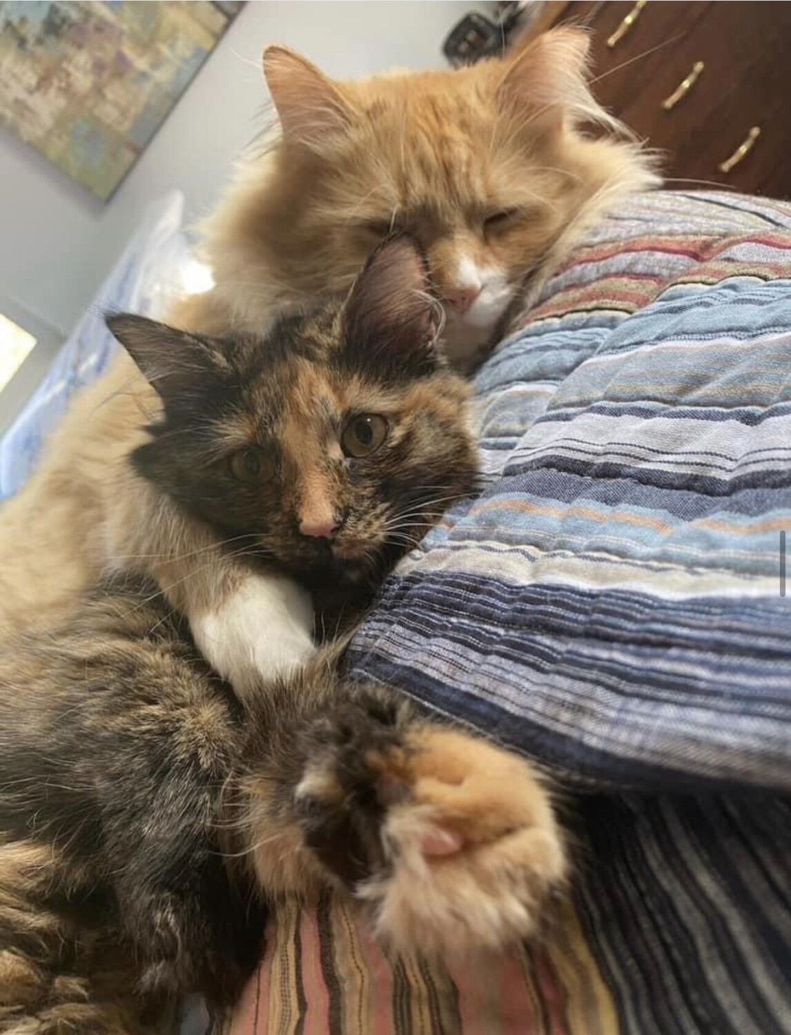 Let me tell you about my best friend.