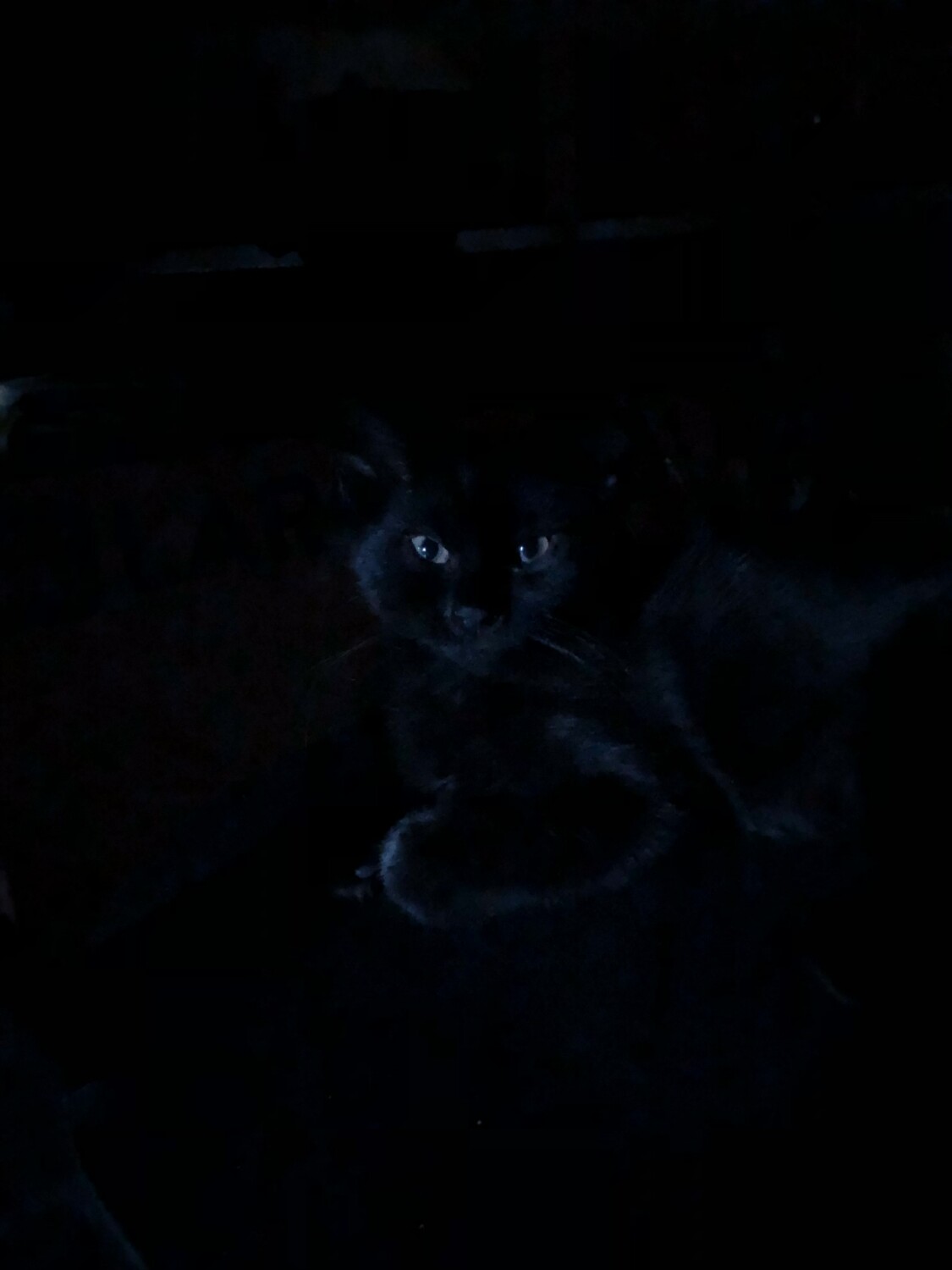 Ethel  08/23     Because I Can