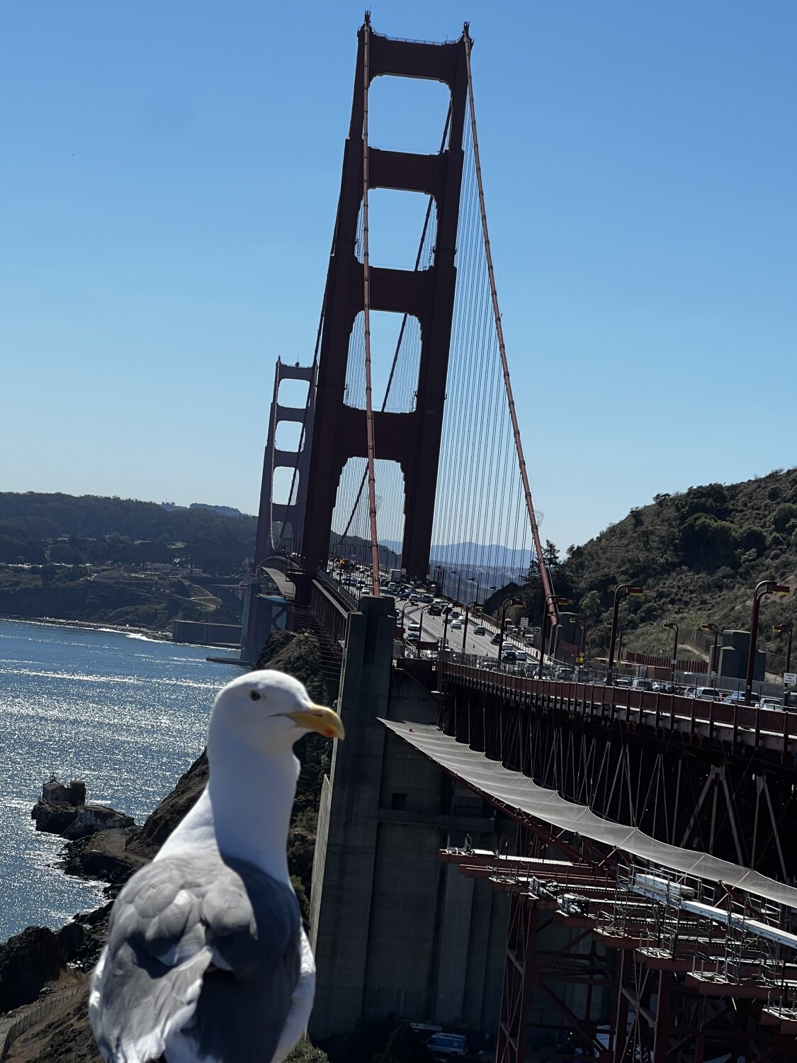 Miss Bird front of the golden gate