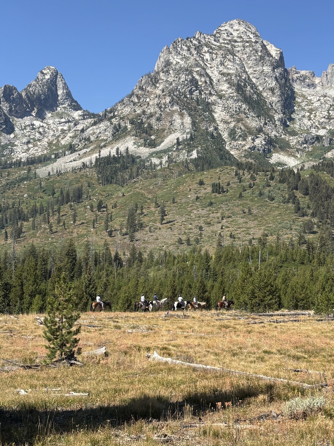 Enjoying nature’s beauty