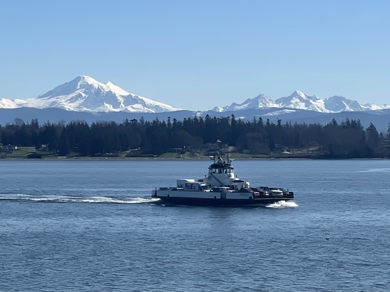 Whatcom Chief w/ Mount Baker