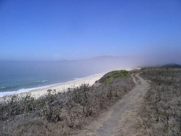 Path Overlooking the Ocean