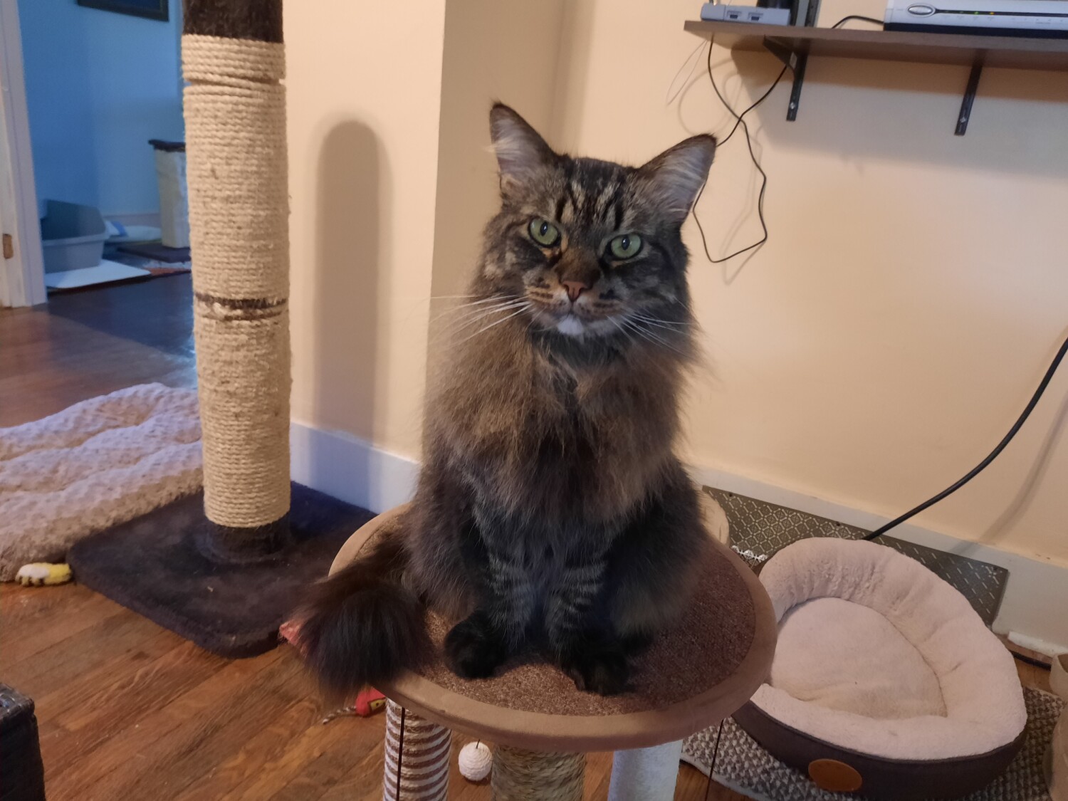 Groomed by Poppy ❤️